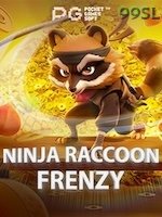Ninja Raccoon Frenzy